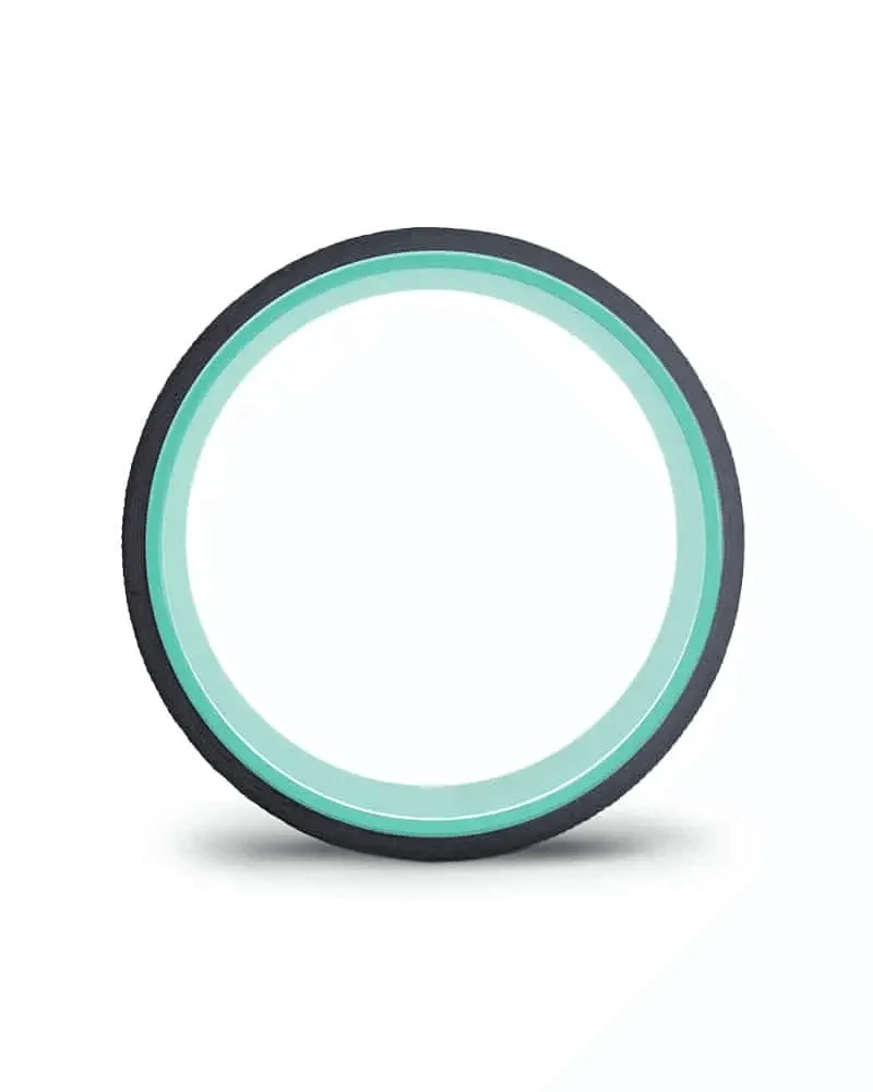 Chirp Wheel - Image 12