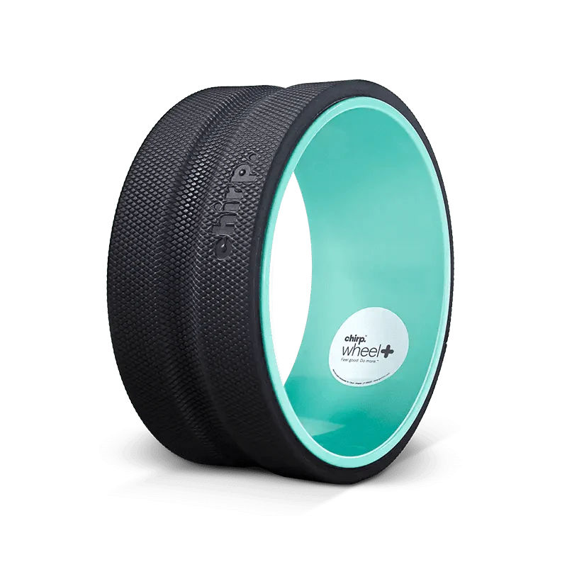 Chirp Wheel - Image 13