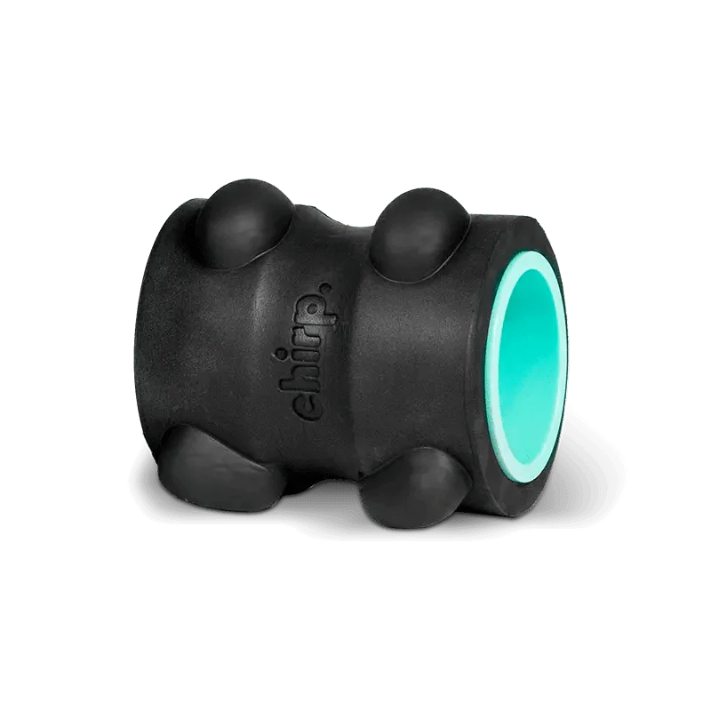 Chirp Wheel - Image 7