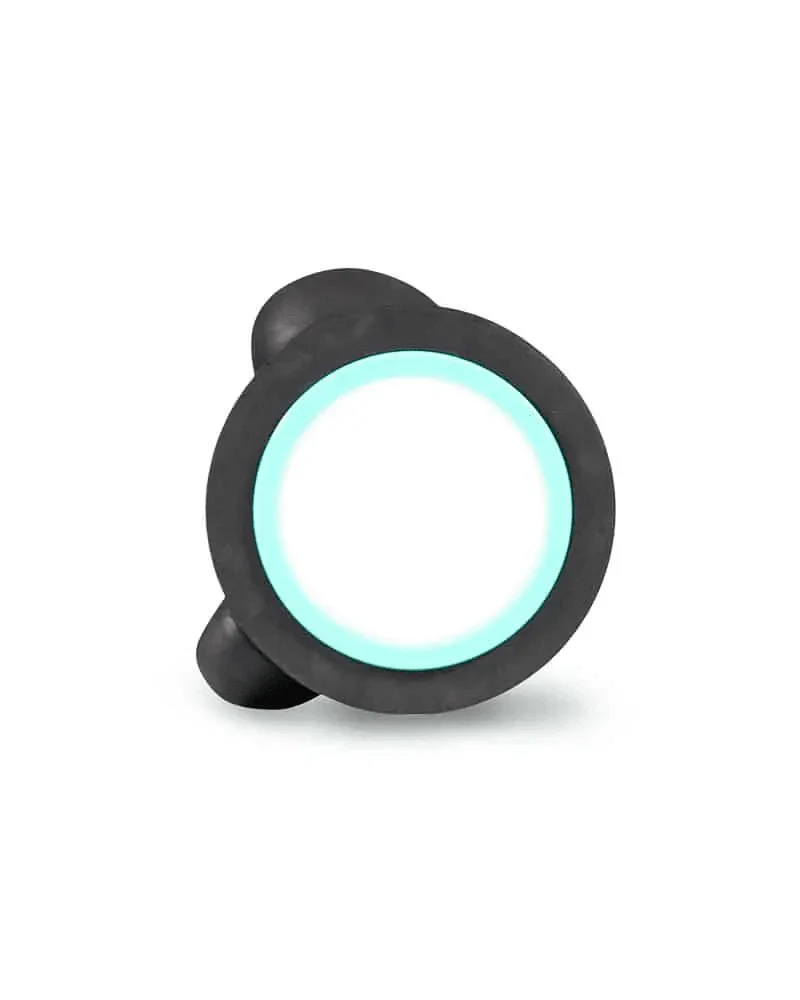 Chirp Wheel - Image 8