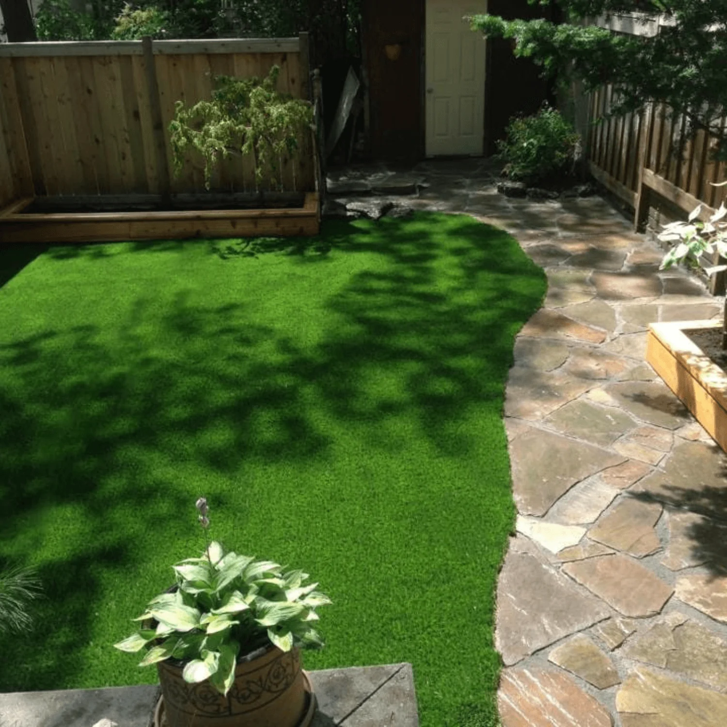 Everblade 80 Synthetic Grass - Image 5