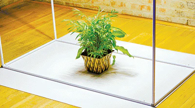 GrowFloor Greenhouse - Image 4