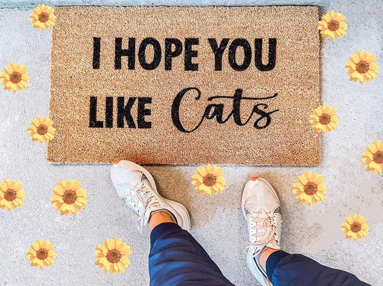 I Hope You Like Cats - Image 2
