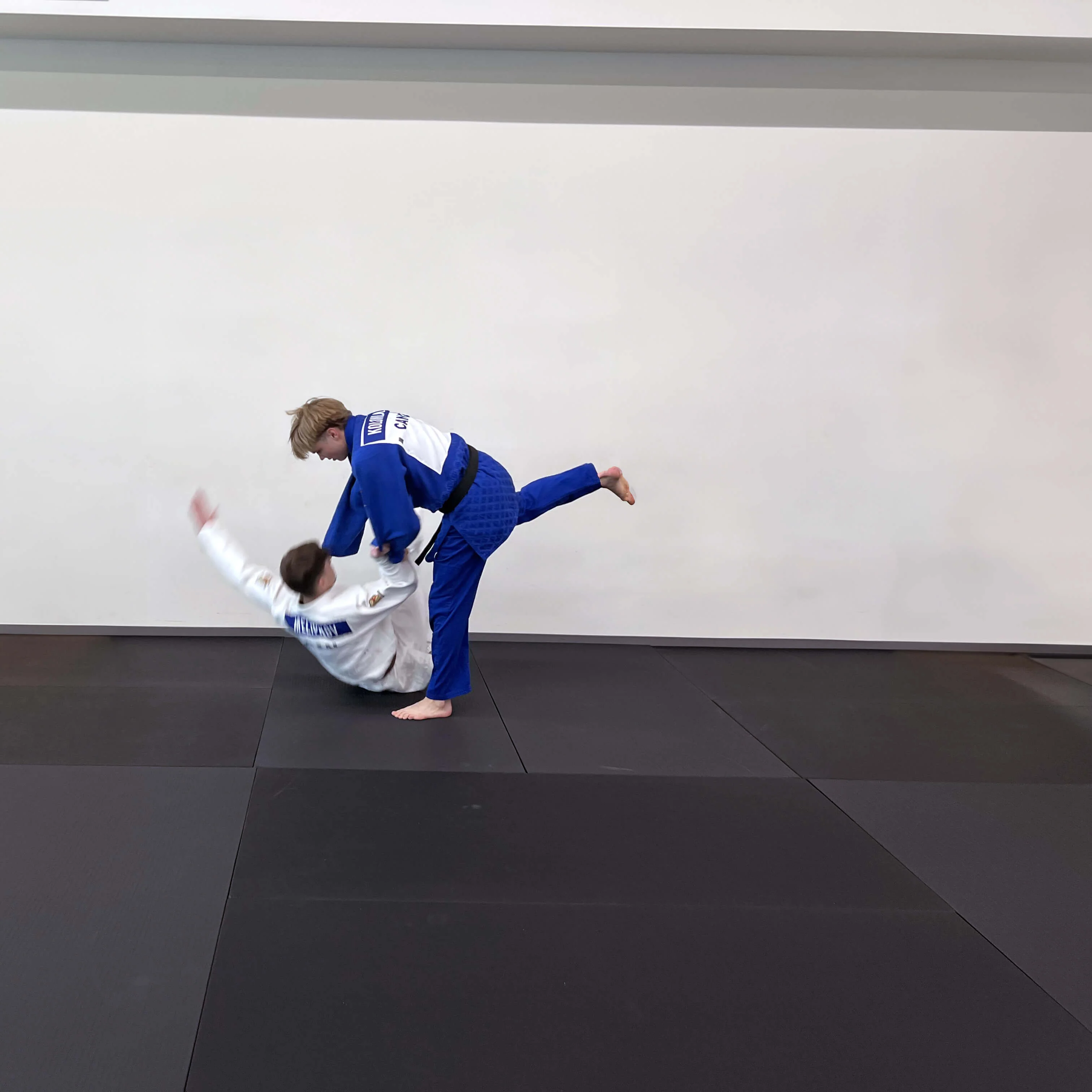 Judo Puzzle Mat - Image 5