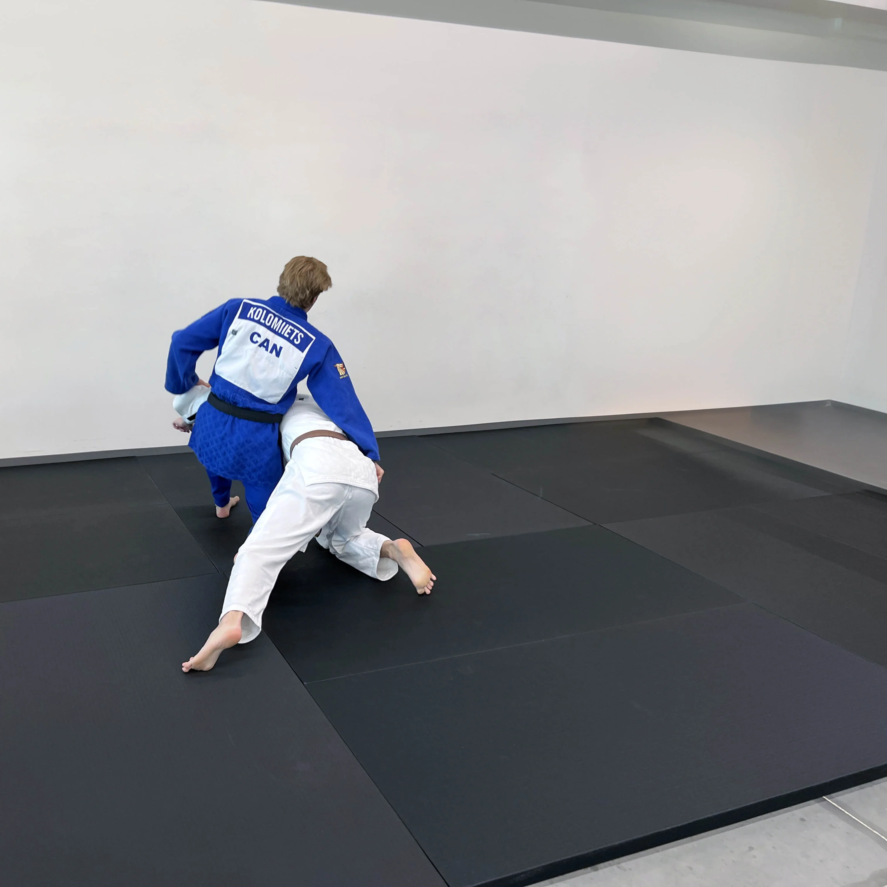 Judo Puzzle Mat - Image 6