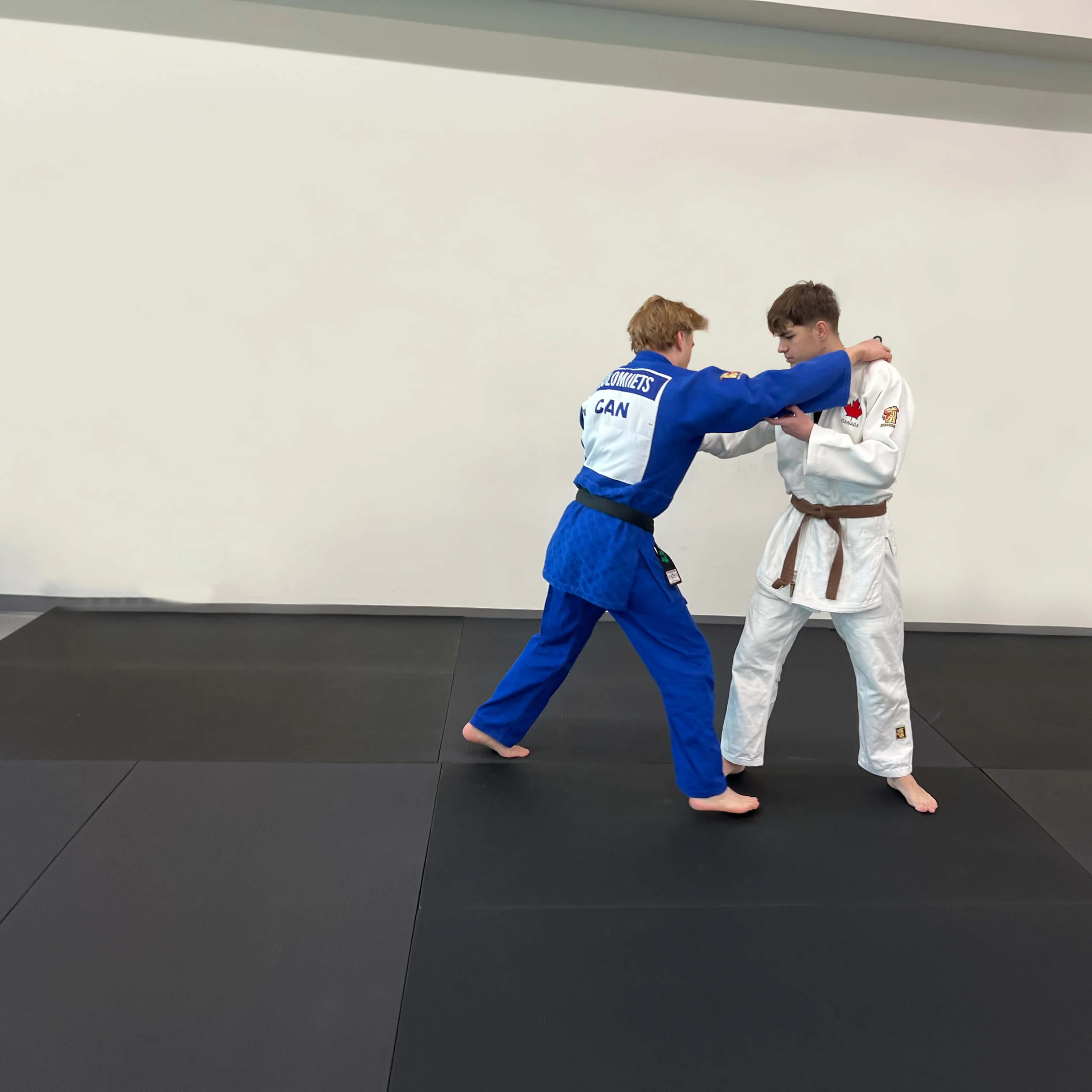 Judo Puzzle Mat - Image 7
