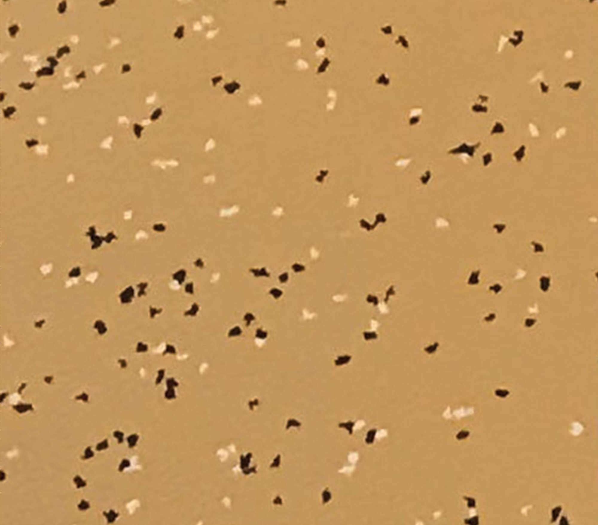 ReAction Gym Flooring - Image 2