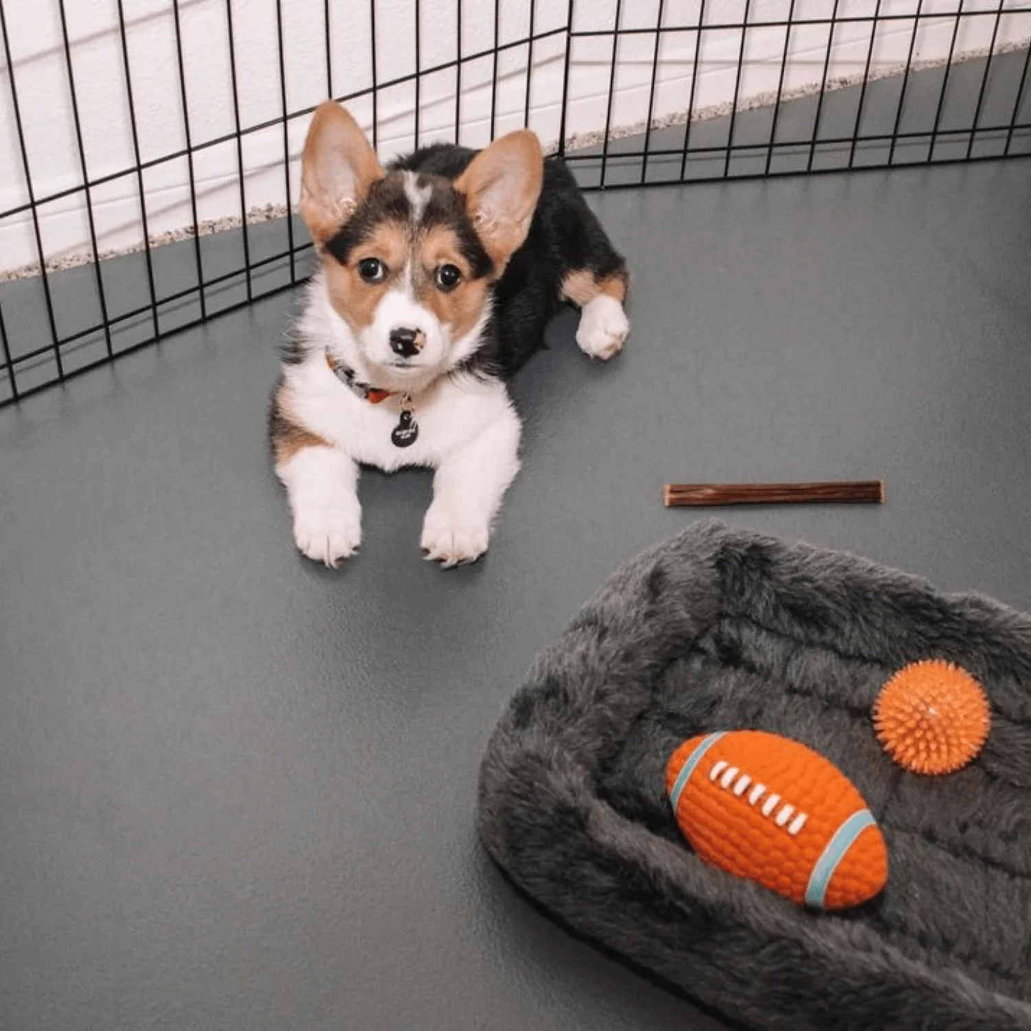 Waterproof Ceramic Pet Kennel Liners - Image 4